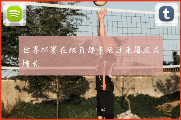 世界杯赛在线直播市场迎来爆发式增长