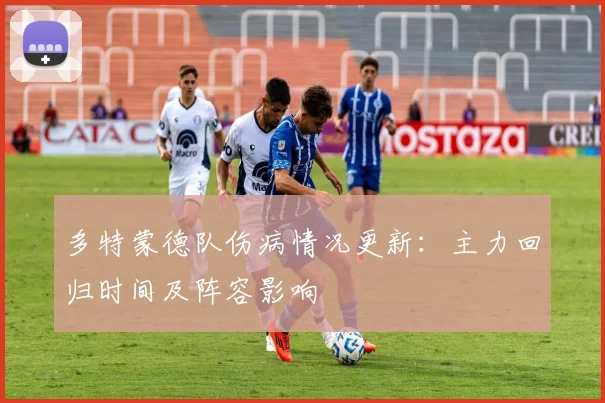 多特蒙德队伤病情况更新：主力回归时间及阵容影响