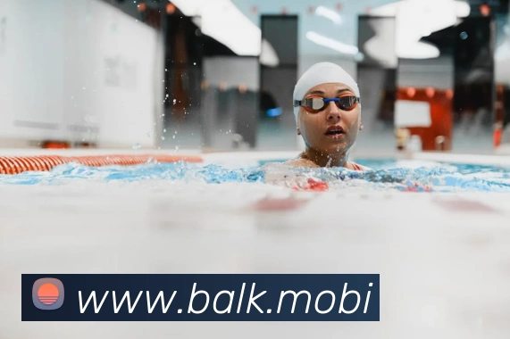 开云手机入口登录官网平台生态图