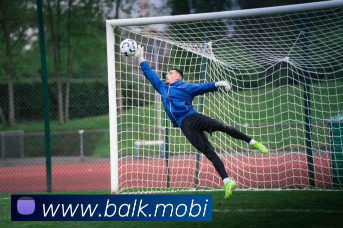 开云手机入口登录官网APP 封面图